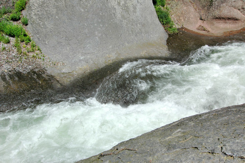 Dsc_1133